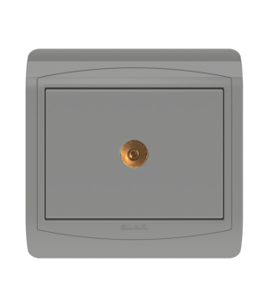 Prise de télévision Gris Clair