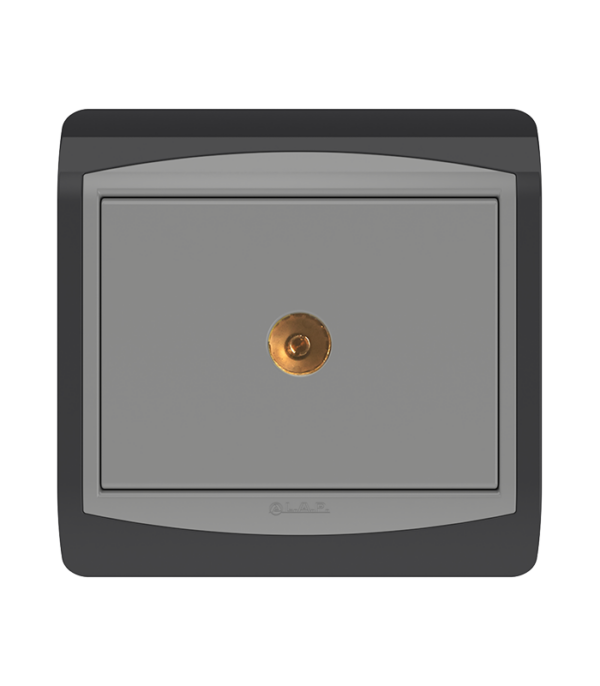 Prise de télévision Gris Foncé