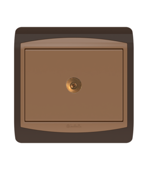 Prise de télévision Marron