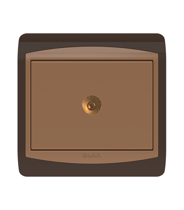 Prise de télévision Marron